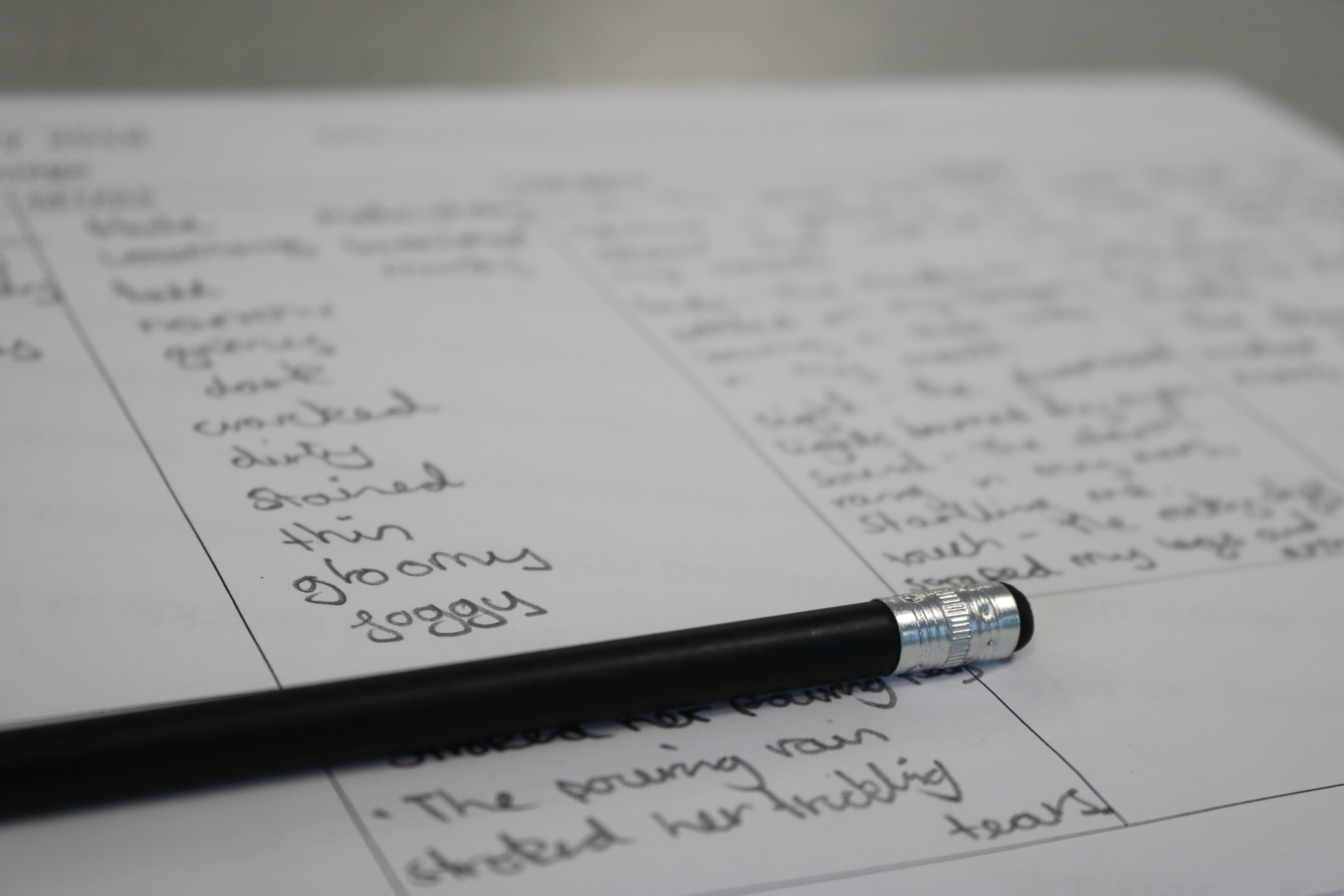 Worksheet