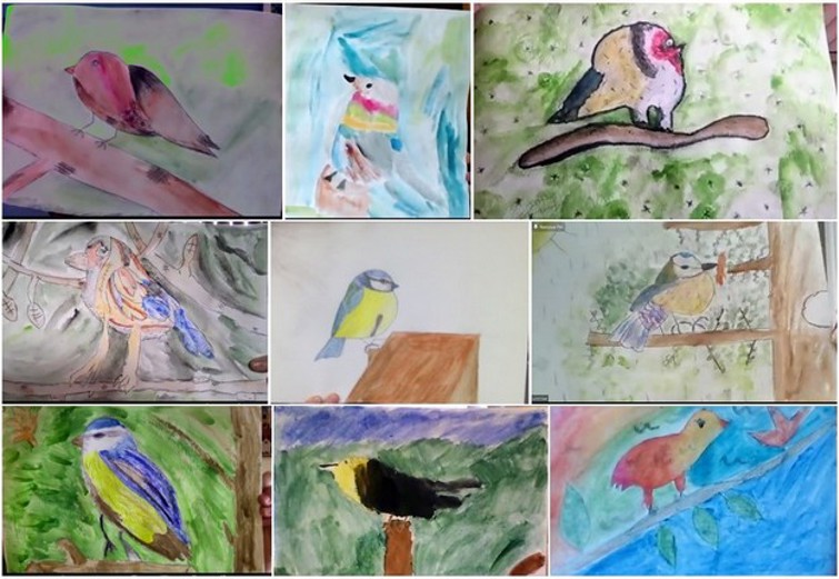 Shine%20birds%201