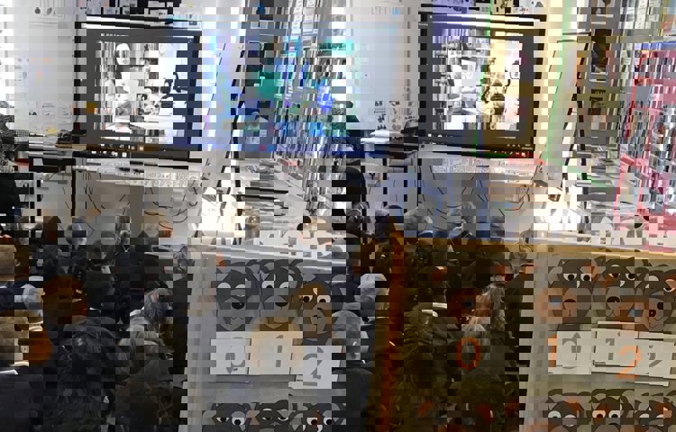 Corpus%20ChristiL.jpg