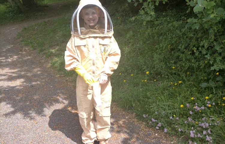 Bees.jpg