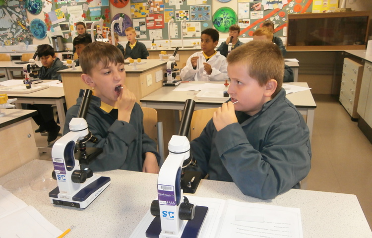 Furze%20science%202.JPG