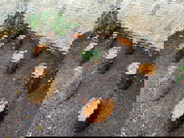 IMG 20221115 WA0037