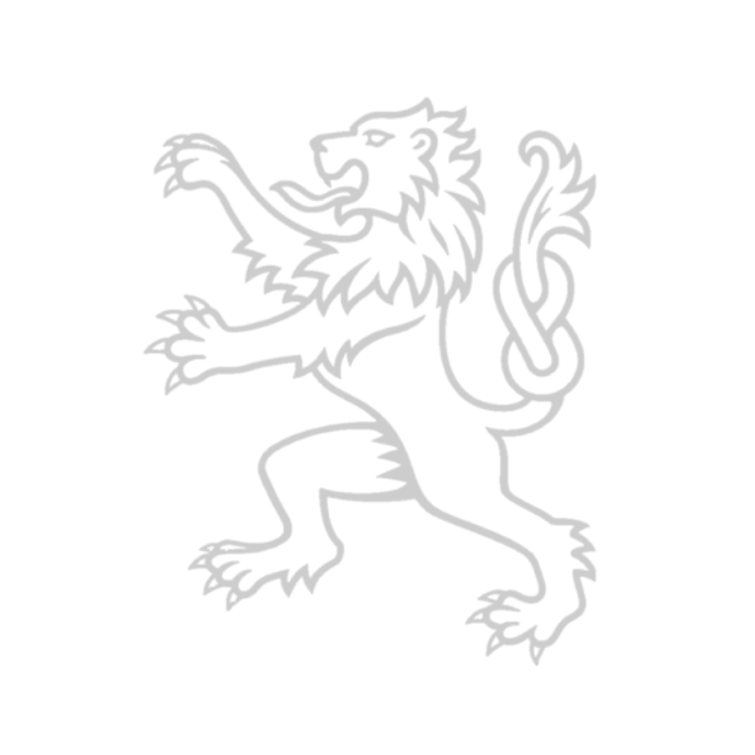 Lion%20watermark