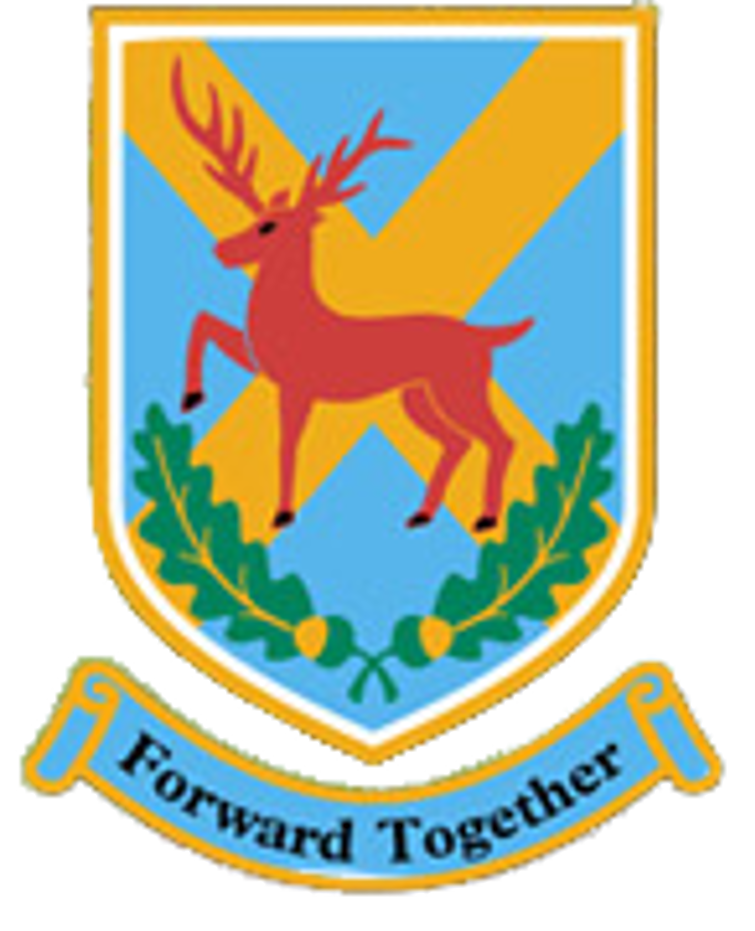 How%20Wood%20Primary%20School%20Logo1.png (1)