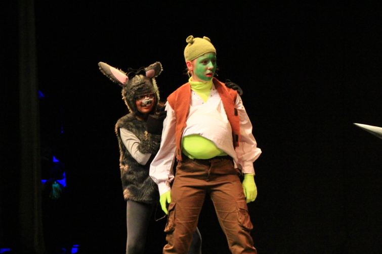 Shrek%20Y6%20(34)